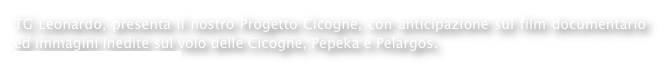 TG Leonardo, presenta il nostro Progetto Cicogne, con anticipazione sul film documentario ed immagini inedite sul volo delle Cicogne, Pepeka e Pelargos.
www.achillecesrano.com